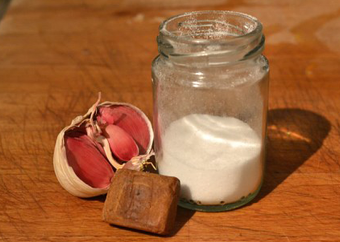 garlic-salt
